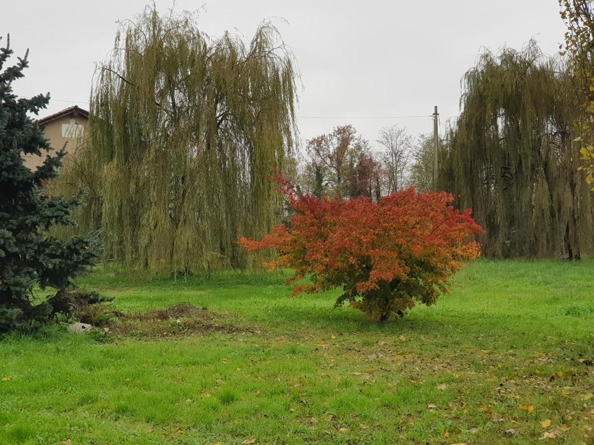 Az.Agr.Cascina Moretta Momo Exteriör bild
