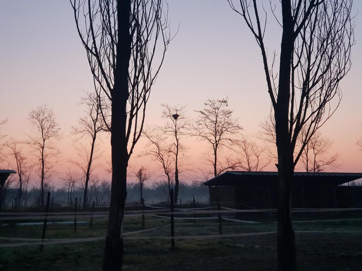 Az.Agr.Cascina Moretta Momo Exteriör bild