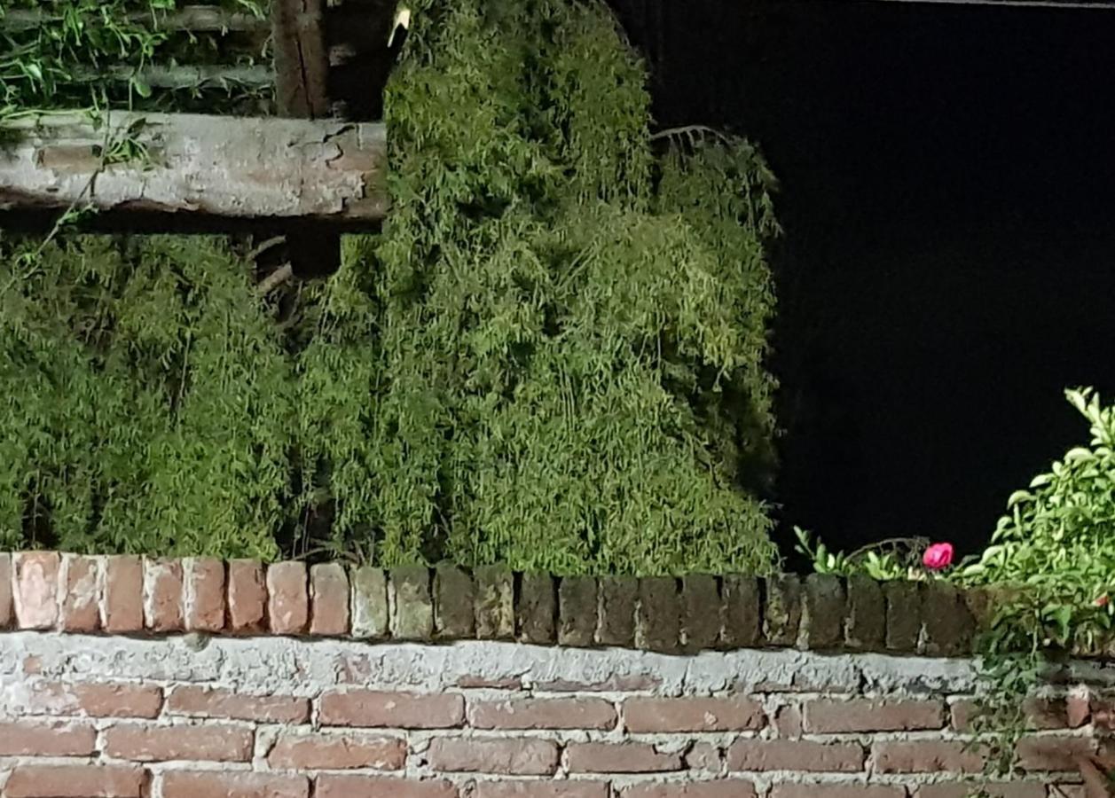 Az.Agr.Cascina Moretta Momo Exteriör bild