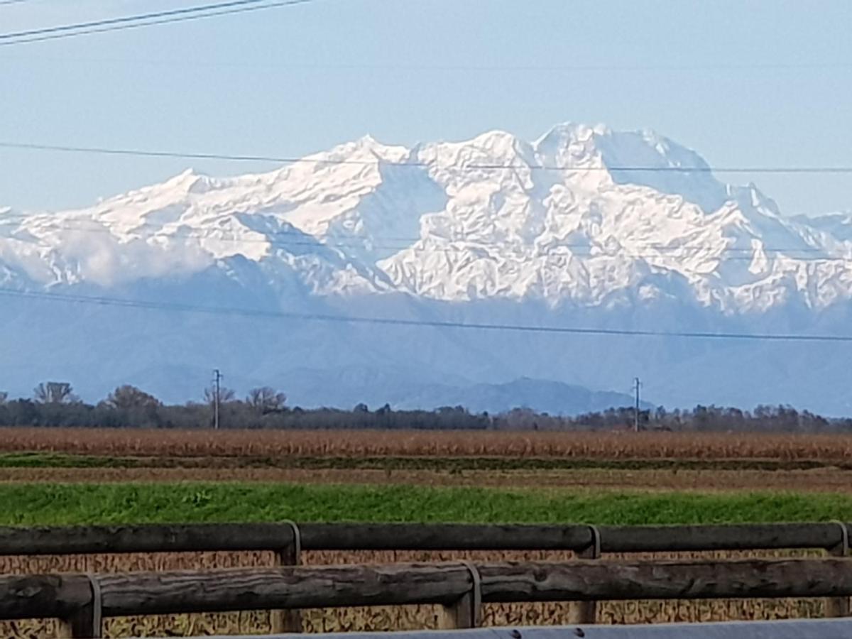 Az.Agr.Cascina Moretta Momo Exteriör bild