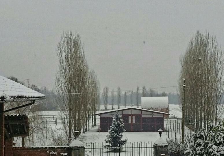 Az.Agr.Cascina Moretta Momo Exteriör bild