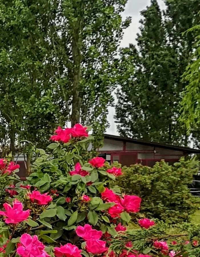 Az.Agr.Cascina Moretta Momo Exteriör bild