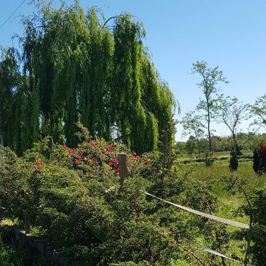 Az.Agr.Cascina Moretta Momo Exteriör bild