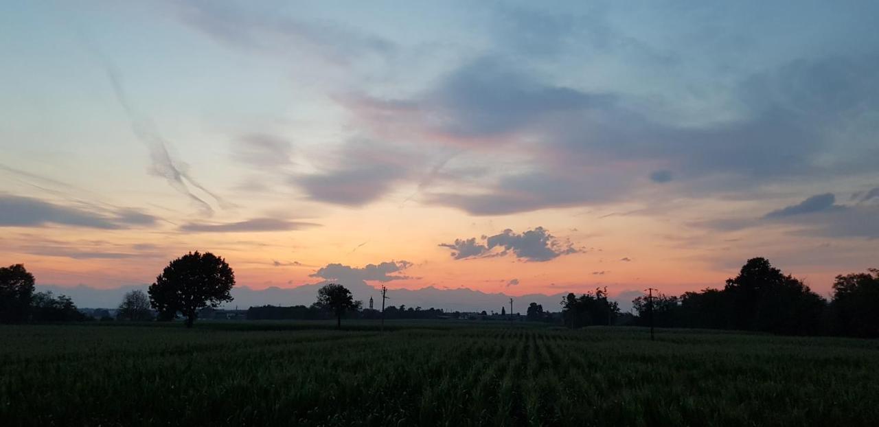 Az.Agr.Cascina Moretta Momo Exteriör bild