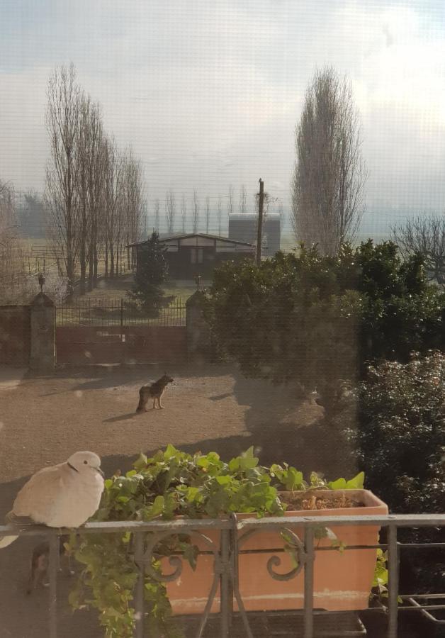 Az.Agr.Cascina Moretta Momo Exteriör bild